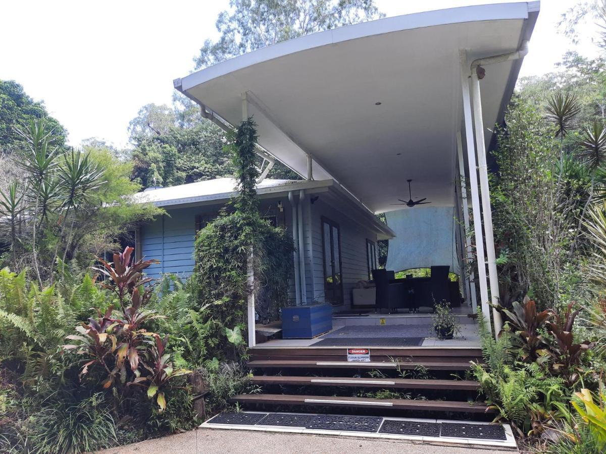 Daintree Rainforest Accommodation Cow Bay Экстерьер фото