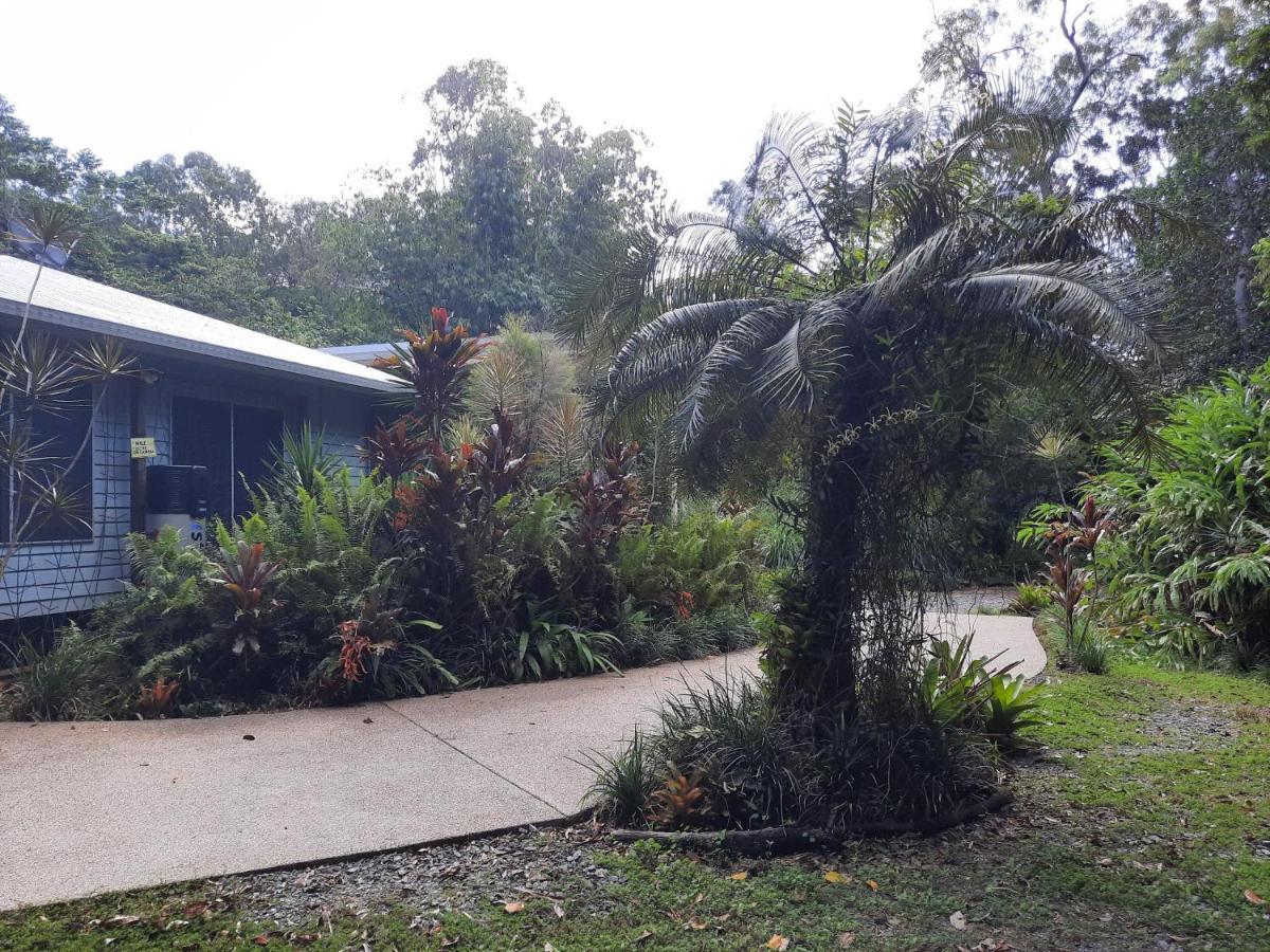 Daintree Rainforest Accommodation Cow Bay Экстерьер фото